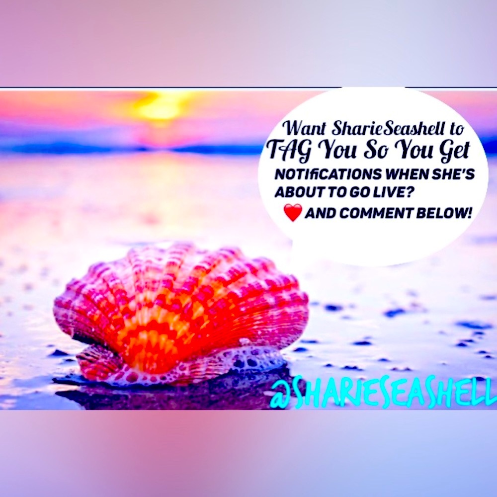 🐚TAG LIST🐚 LIKE ❤️ THIS LISTING OR COMMENT TO BE NOTIFIED OF MY LIVE SHOWS!